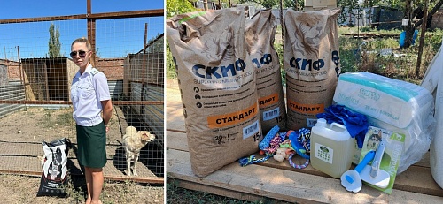 Сотрудники Черноморо-Азовского морского управления Росприроднадзора продолжают оказывать помощь приютам бездомных животных