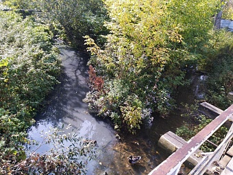 В Удмуртии МУП «Балезинский Водоканал» возместил ущерб, причиненный почве