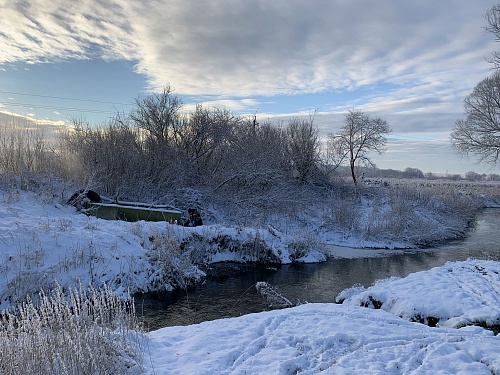 Агропредприятие «Балтптицепром» обязано возместить вред, нанесенный реке в Калининградской области