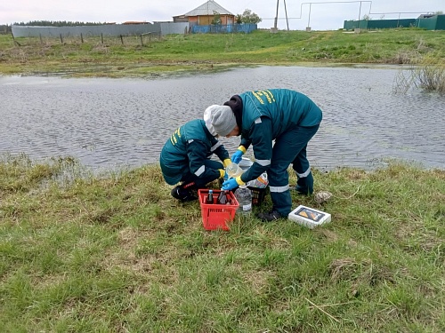 Сотрудники филиала ЦЛАТИ по УФО по Челябинской области обследовали водные объекты в Пластовском муниципальном районе