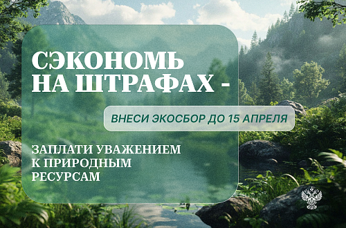 Расширенная ответственность производителя (РОП) — шаг к разумному потреблению и снижению отходов  