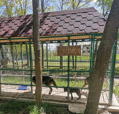 Содержание и использование животных в зоопарке на территории термальных источников «Жемчужина Кавказа» Карачаево-Черкесской Республики