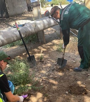 МУП «Астрводоканал» обязано возместить вред почвам