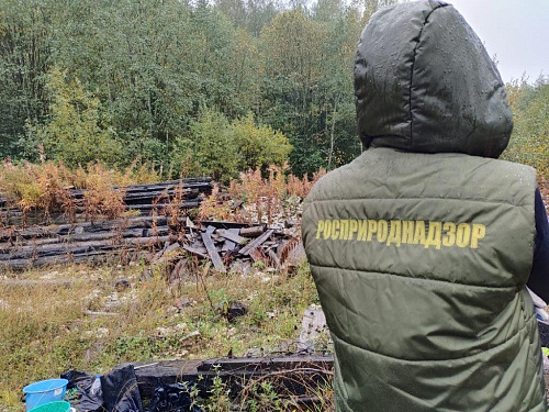 Инспекторы Росприроднадзора выявили несанкционированные свалки в лесах Вологодской области 