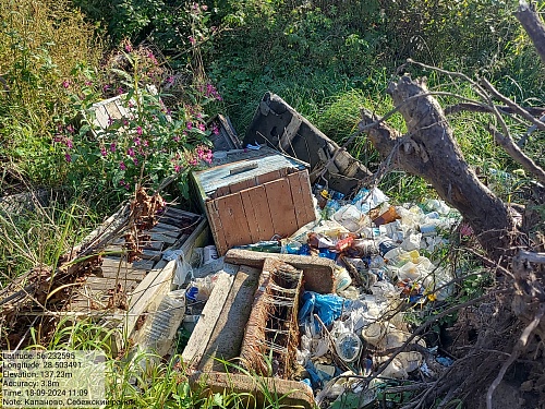 СЗМУ Росприроднадзора требует возместить вред, причиненный почвам размещением отходов в Псковской области 
