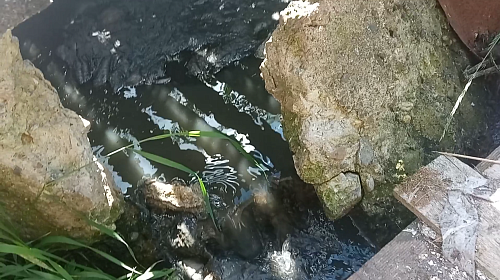 По материалам Росприроднадзора суд обязал ООО ЖКХ «Эксперт» возместить вред от разлива канализационных вод в пгт Рудничный