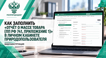 Как заполнить отчет о массе товаров в Личном кабинете природопользователя?