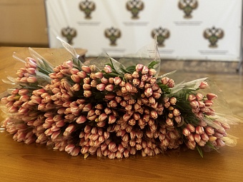 СЗМУ Росприроднадзора организовало мероприятия в преддверии Международного женского дня 8 Марта