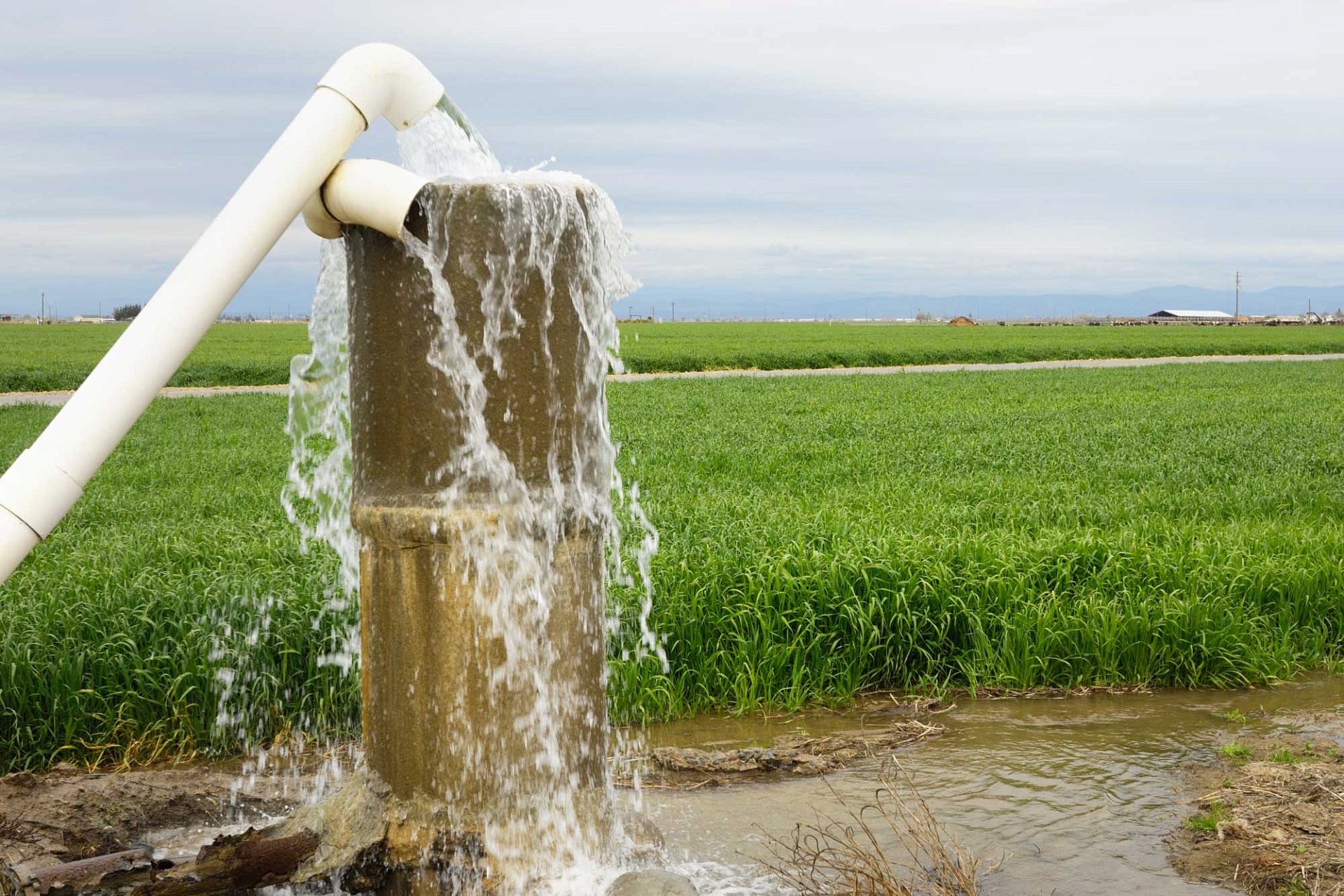 ЮСМУ РПН произведен расчет размера вреда, причиненного недрам
