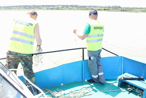 В Азовском море инспекторы Росприроднадзора провели мероприятия по охране водных (морских) биологических ресурсов, занесенных в Красную книгу Российской Федерации. 