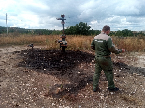 Росприроднадзор выявил факт причинения ущерба почве на территории Жирновского района Волгоградской области
