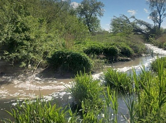 Росприроднадзор добился отмены решений судов, ранее отказавших во взыскании ущерба с торгово-птицеводческой компании «Балтптицепром»