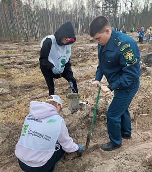 В Тамбовской области сотрудники Центрально-Черноземного управления Росприроднадзора приняли участие в международной акции «Сад памяти»
