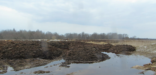 Суд удовлетворил требование Росприроднадзора о взыскании  с гражданина более 17 млн рублей за загрязнение почвы отходами животноводства