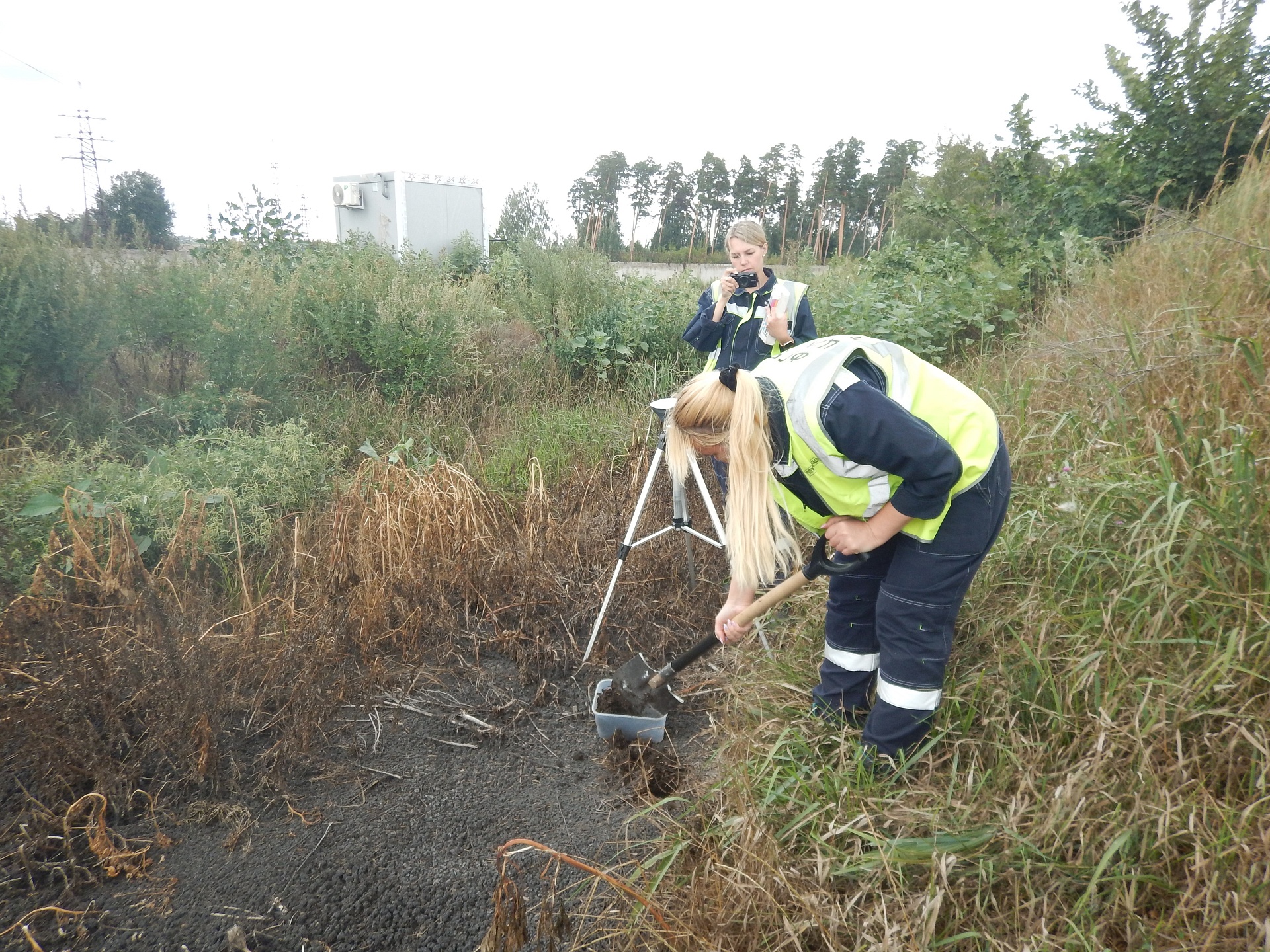 Центрально-Черноземное управление Росприроднадзора требует с ООО «РВК-Липецк» добровольно оплатить вред, причиненный почвам