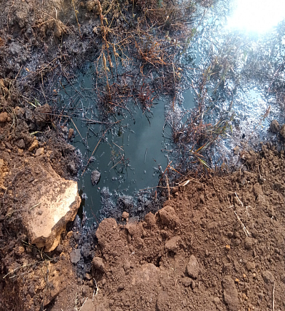 В Волгоградской области инспекторы Росприроднадзора принимают меры по факту загрязнения почвы нефтепродуктами 