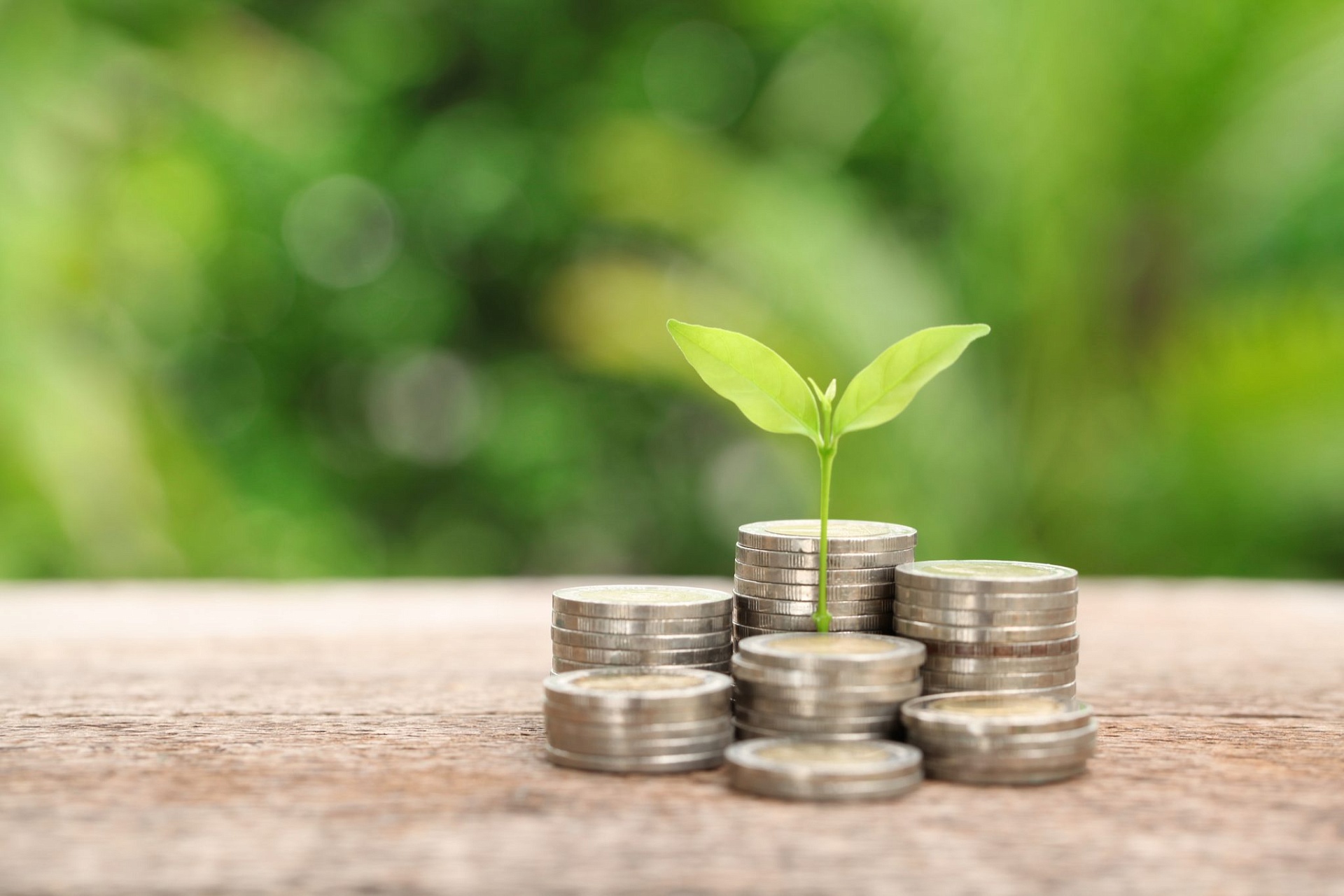 Управление информирует о «нулевой» декларации о плате за НВОС