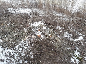 Росприроднадзор оценил ущерб от химического загрязнения почв белгородским ООО «ПромЭкоС» в 706 тыс. рублей