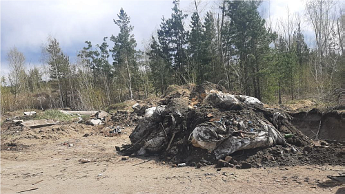 В Алтайском крае захоронение отходов в неустановленном месте повлекло за собой возбуждение уголовного дела