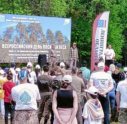Сотрудники СЗМУ Росприроднадзора приняли участие во Всероссийском дне посадки леса