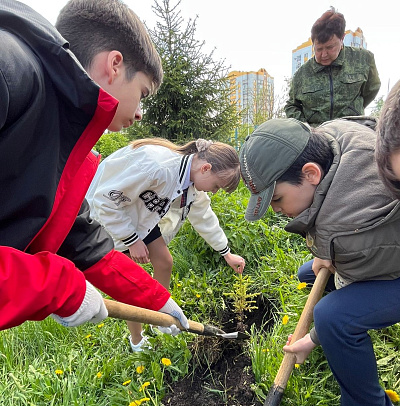В школах Мордовии, ставших активными участниками второго сезона премии «Экология - дело каждого», высадили саженцы деревьев