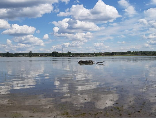 ФГБУ «ЦЛАТИ по СФО» изучает качество воды в р. Обь и ее притоках