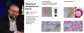 Продолжаем цикл лекций с профессором РАН Сергеем Люлиным о микропластике