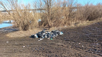 Росприроднадзор провел обследования рек Воронежской области с целью контроля над соблюдением режима использования водоохранных зон