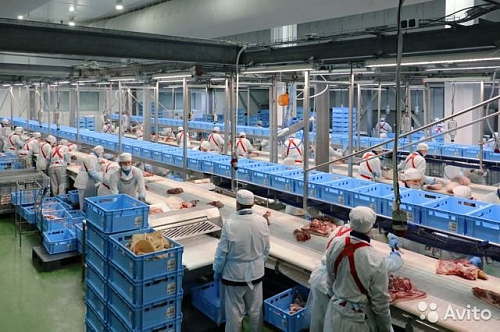 ООО «Курский мясоперерабатывающий завод» допустил нарушения требований в области охраны окружающей среды