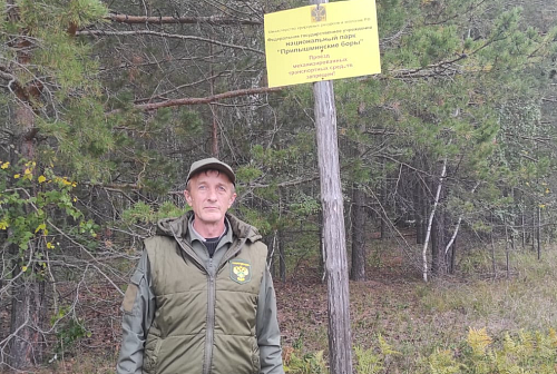 Росприроднадзор провел проверку обязательных требований в рамках федерального государственного лесного контроля (надзора)
