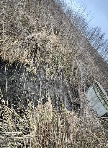 В ходе выездного обследования водоохранной зоны р. Усть-Рыбницы зафиксированы нарушения