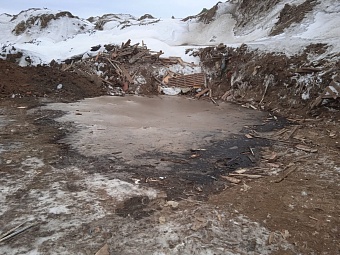 В Международный день за мир без отходов Росприроднадзор напоминает: Экология – дело каждого!