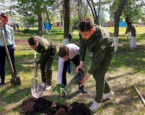 В Пензе сотрудники Росприроднадзора совместно с призерами премии «Экология - дело каждого» посадили деревья