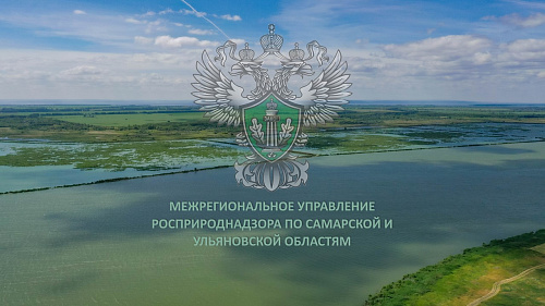 Инспекторы Росприроднадзора выявили в деятельности ульяновской ООО «Стандарт-Инвест» нарушения природоохранного законодательства