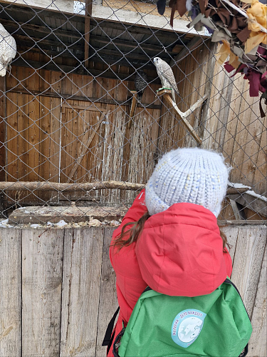 В Алтайском крае в рамках поддержки Премии Росприроднадзора «Экология — дело каждого» организована экскурсия в питомник редких птиц