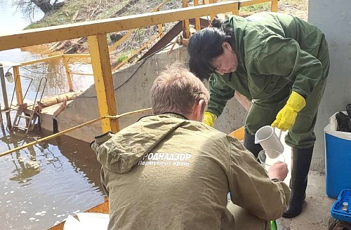 ООО «СТОК» предъявлен ущерб за причинение вреда Камскому водохранилищу