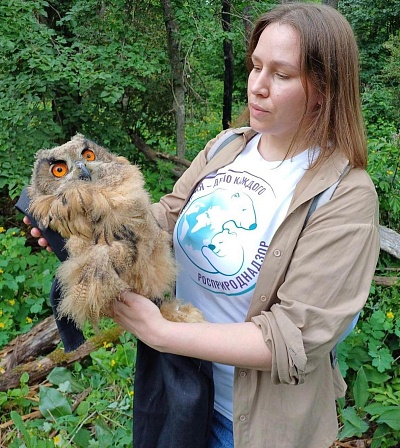 В Липецкой области инспекторы Росприроднадзора проконтролировали выпуск трех особей филина в лесной вольер заповедника «Галичья гора»