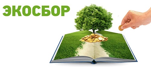 Росприроднадзор оштрафовал ООО «Пензапромстекло» на 250 тысяч рублей