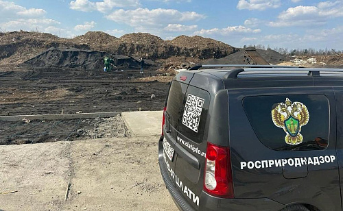 Инспекторы Росприроднадзора выявили масштабную свалку в Сормовском районе Нижнего Новгорода