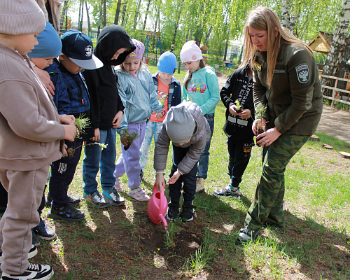 В Казани сотрудники Росприроднадзора вместе с дошкольниками посадили хвойные деревья