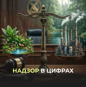 НАДЗОР В ЦИФРАХ