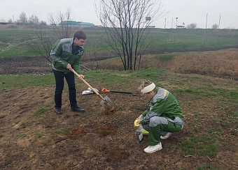 В Астраханской области суд обязал МП «Теплосети» ЗАТО Знаменск возместить вред почвам