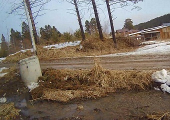 Вред почвам от разлива сточных вод в Иркутской области оценили почти в 7 млн рублей