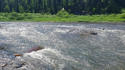 По результатам проверки Росприроднадзора Шерегешской шахты филиала «Евразруда - филиал АО ЕВРАЗ ЗСМК» выявлено нанесение вреда водному объекту.