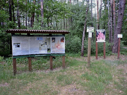 В результате выездного обследования территории государственного природного биосферного заповедника «Брянский лес» нарушений не выявлено