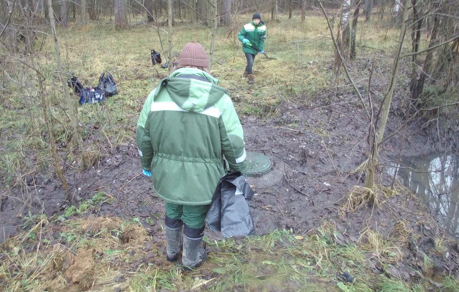 СЗМУ Росприроднадзора производит расчет вреда, причиненного почвам в г. Отрадное Кировского района Ленинградской области