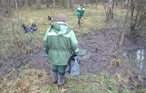 СЗМУ Росприроднадзора производит расчет вреда, причиненного почвам в г. Отрадное Кировского района Ленинградской области