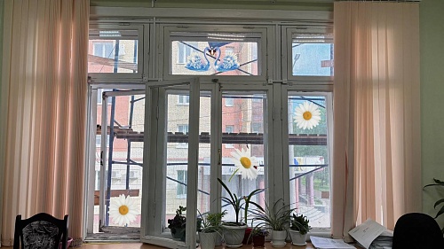 В канун праздника Дня любви, семьи и верности  сотрудниками Северного межрегионального управления Росприроднадзора проведена акция «Окна ЛЮБВИ».