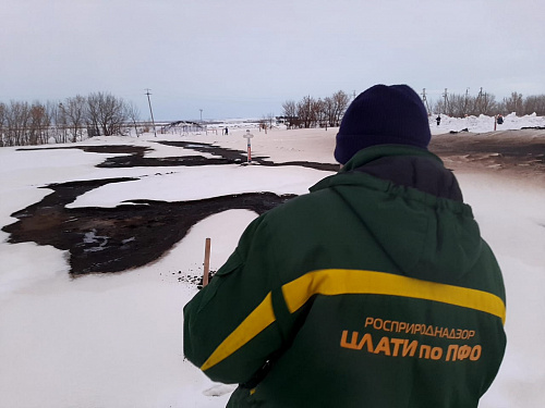 На месте аварии нефтепровода в Саратовской области отобраны пробы загрязненного грунта