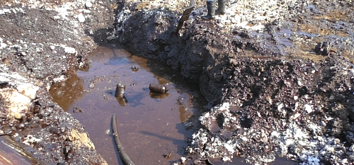 Природопользователь добровольно возместил вред, причиненный почвам 